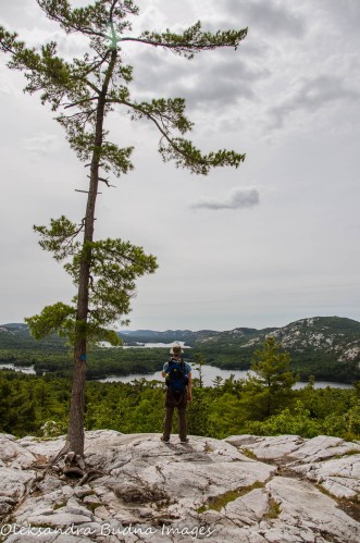 hiker enjoying the view from the Crack at Killarney