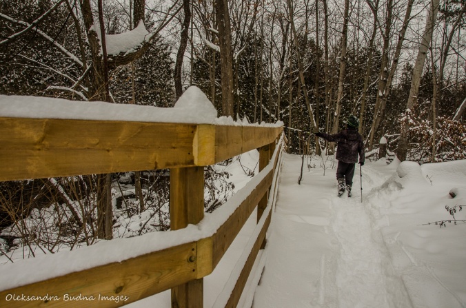Bruce Trail at Limehouse Conservation Area