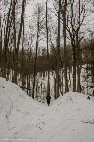 hiking at Hockley Valley Provincial Park