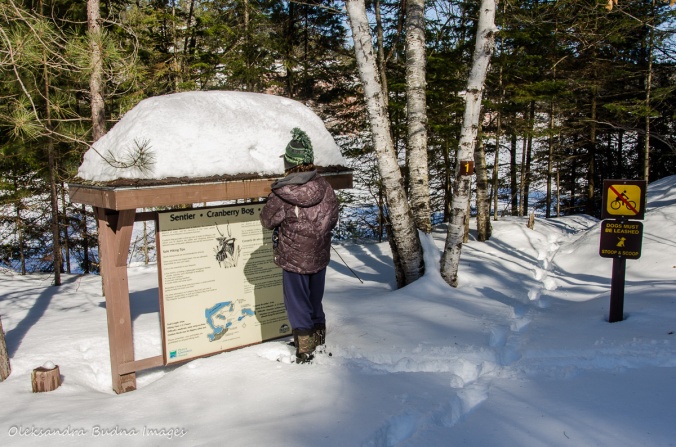 at the Cranberry Bog Trailhead in Killarney Provincial Park in the winter
