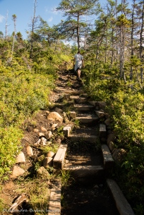 Green Gardens Trail in gros Morne park in Newfoundland
