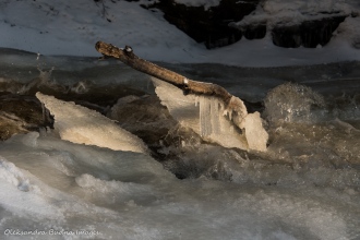 ice at Stubb's Falls at Arrowhead Provincial Park in the winter