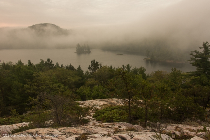 foggy morning on Grace Lake