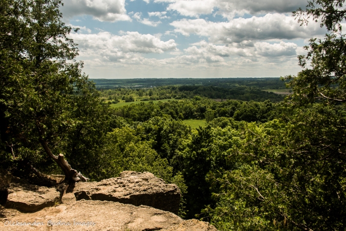 view from Rattlesnake point